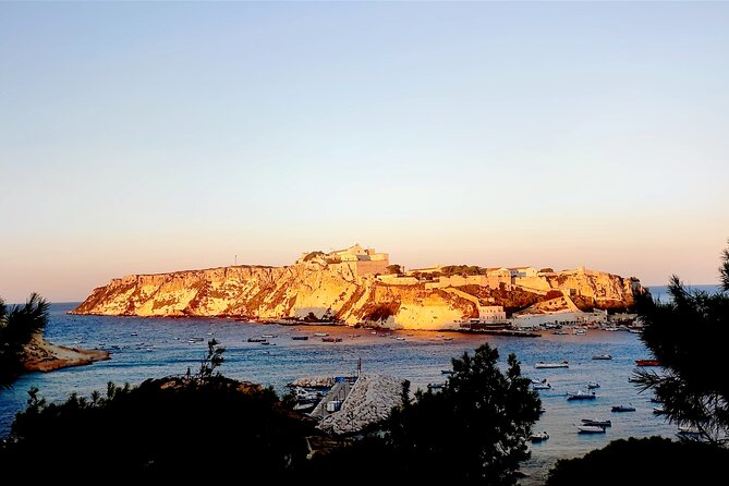 Tremiti Islands from Rodi Garganico: ferry and boat tour - Practical Aspects: Navigating the Tour Logistics