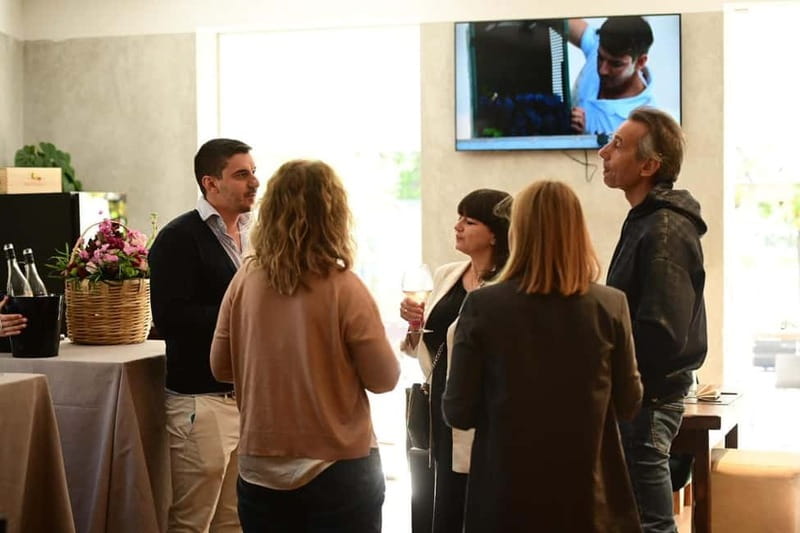 Trentinara Wine Tasting and Walking Tour - What’s Included and What to Consider