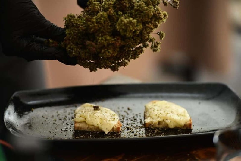 Trentinara Wine Tasting and Walking Tour - The Unique Charm of Villa Tredaniele