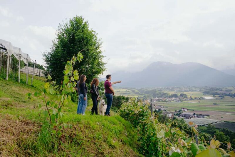 Trentino Agriconda: AgriBreak: an authentic snack surrounded by nature - Trentino-South Tyrol’s Authentic Farm Experience at Agriconda