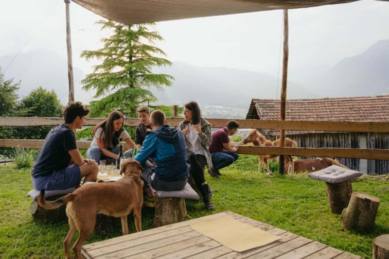Trentino Agriconda: AgriBreak: an authentic snack surrounded by nature - Encountering Farm Animals Up Close