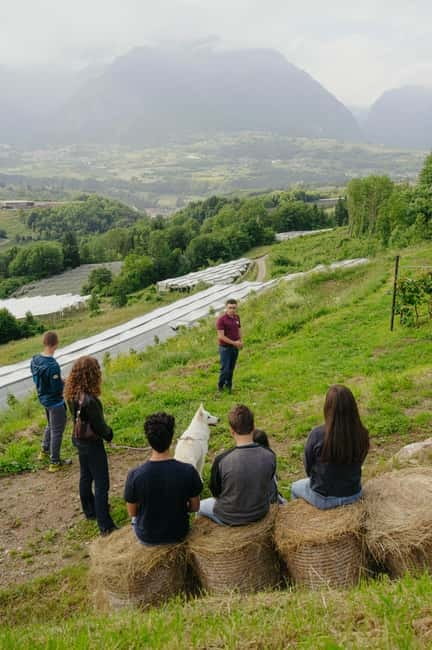 Trentino Agriconda: frutTIAMO...Explore, Learn, Taste Small Fruits - Exploring the Orchards of Agriconda in Detail