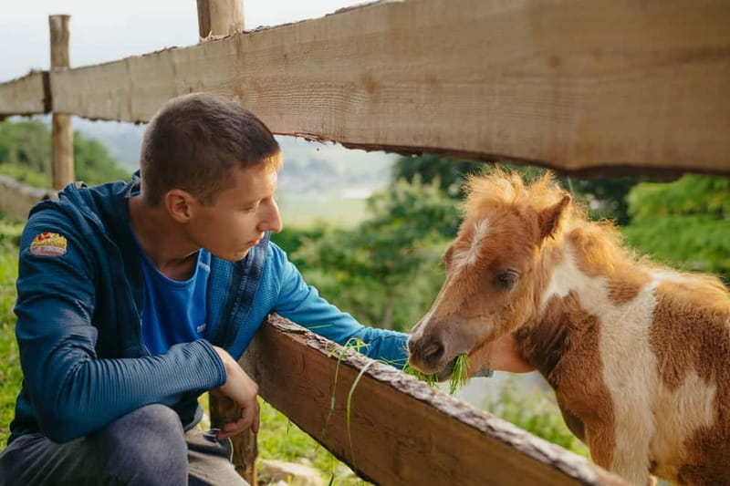 Trentino Agriconda: frutTIAMO...Explore, Learn, Taste Small Fruits - Tasting Fresh Berries and Artisanal Jams