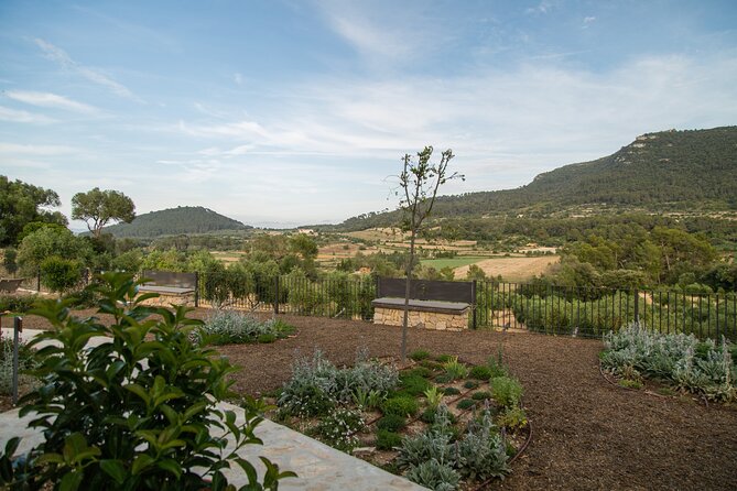 Treurer Mediterranean Barbecue Night - The Culinary Experience: Five-Course Tasting Menu