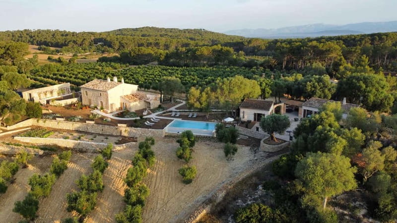 Treurer: Olive Oil Night. Gastronomic experience - Discover the Unique Gastronomic Experience at Finca Treurer in Mallorca