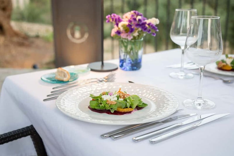 Treurer: Olive Oil Night. Gastronomic experience - Scenic Walk Through the Olive Grove and Views