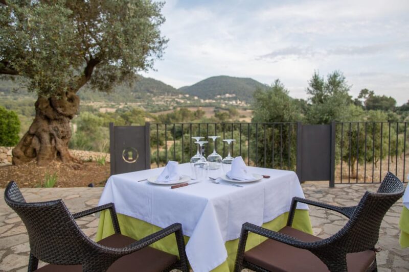 Treurer: Tapas Gourmet and Extra Virgin Olive Oil - A Gourmet Tapas Dinner in an Olive Grove