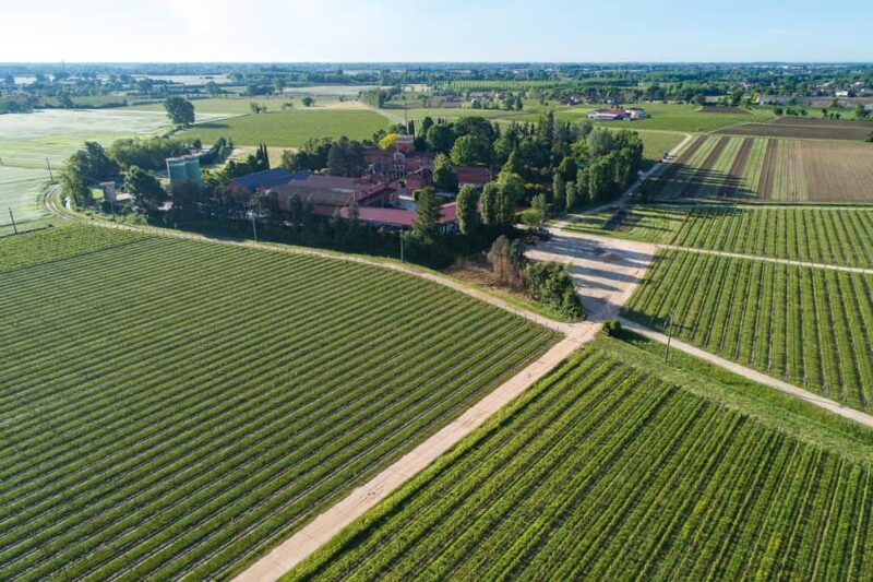 Treviso neighborhood: Tenute Tomasella/Wine Experience - Key Points