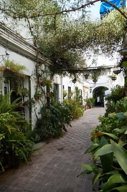 Triana Tour + Flamenco Night Party - Practical Details: Meeting Point and Accessibility