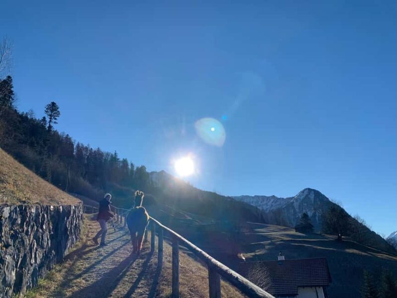 Triesenberg: Llama hike with a delicious BBQ in the middle of the forest - Exploring the Mountain Landscape of Triesenberg