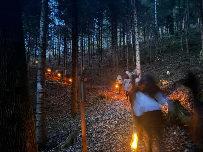 Triesenberg: Llama hike with a delicious BBQ in the middle of the forest - Who Will Enjoy This Tour Most?