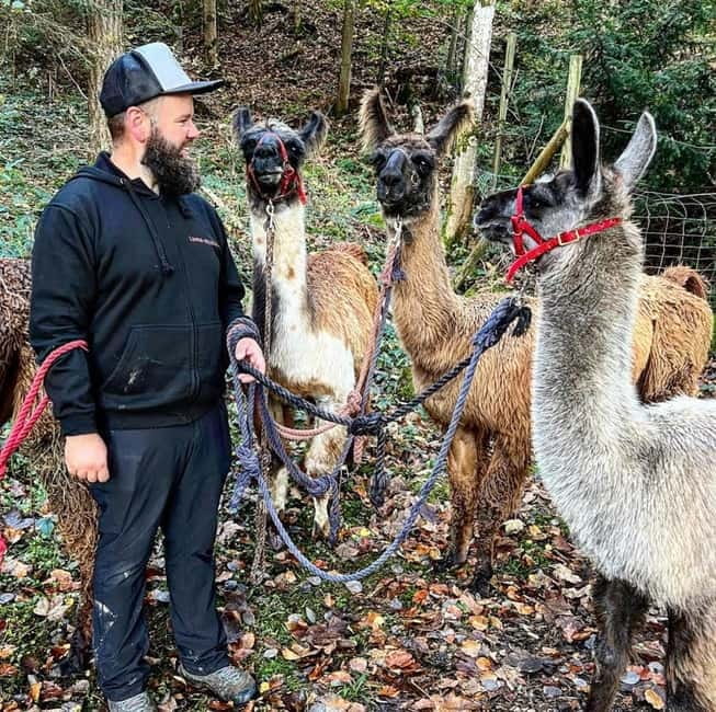 Triesenberg: Walking Tour with Llamas and Cheese Raclette - Discover the Charm of Triesenbergs Llama Walk and Raclette