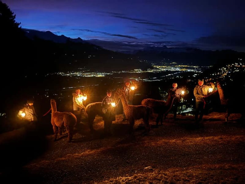 Triesenberg: Walking Tour with Llamas and Cheese Raclette - The Joy of a Lantern-Lit Forest Llama Walk