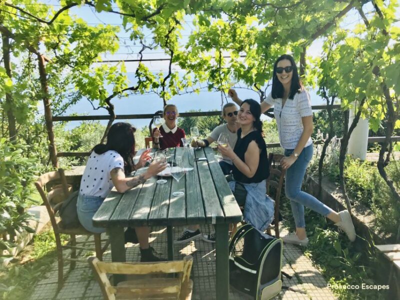 Trieste: 2.5-Hour Prosecco Origins Tour and Tastings - Practical Details: Meeting Point and Group Size