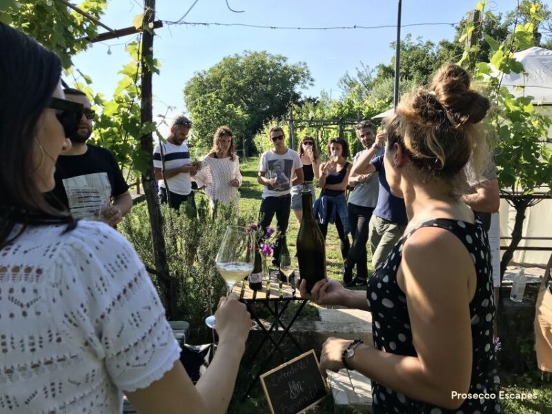 Trieste: 2.5-Hour Prosecco Origins Tour and Tastings - Booking Flexibility and Cancellation Policy