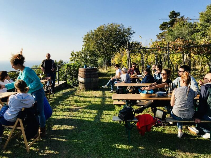 Trieste: 2.5-Hour Prosecco Origins Tour and Tastings - Why This Tour Offers a Genuine Experience