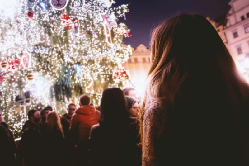 Trieste: Ljubljana Christmas Market Tour - Breathtaking Views from Ljubljana Castle