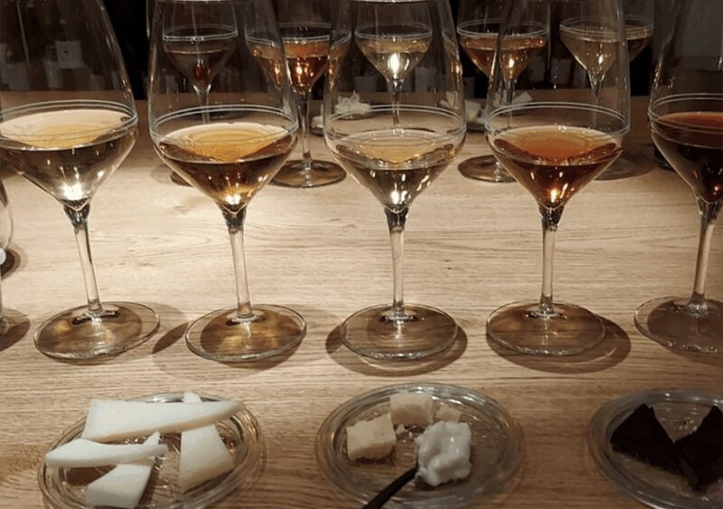 Trieste: Wine Tasting from Istria, Carso and Friuli terroirs - Highlights of the Regions Unique Terroirs