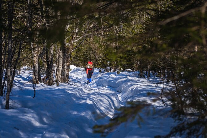 Triglav winter edition - Starting in Bled: Meeting Point and Transportation Details