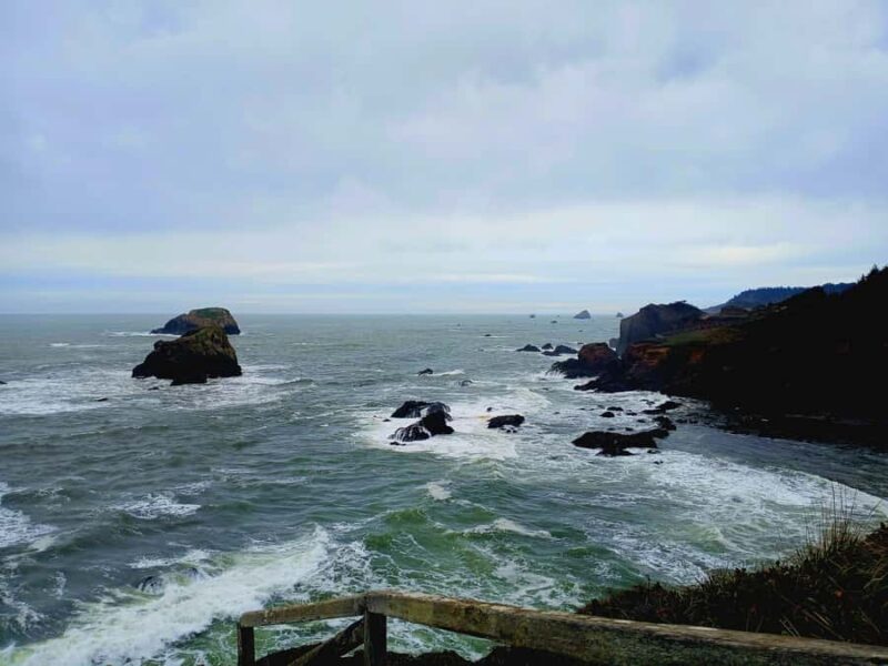 Trinidad: Elk Head Trail Guided Nature Walking Tour - The Easy Walk Through Elk Head Forest and Coastal Brush