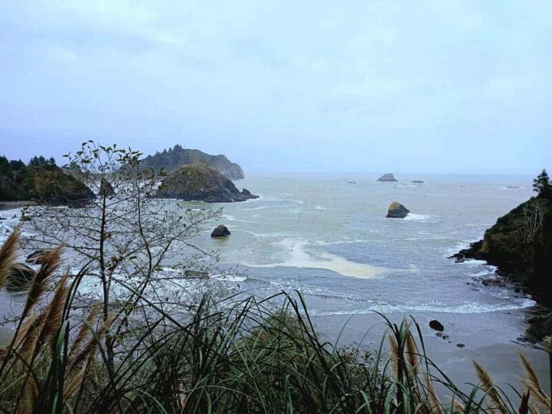 Trinidad: Elk Head Trail Guided Nature Walking Tour - Watching for Whales and Puffins from the Cliffs