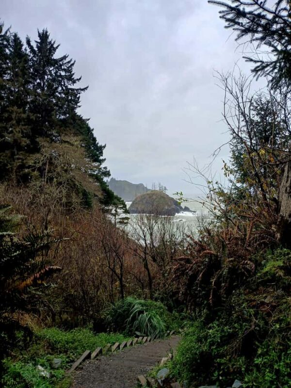 Trinidad: Elk Head Trail Guided Nature Walking Tour - Practical Logistics and Booking Details