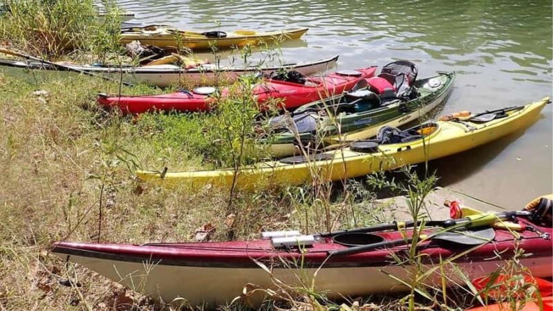 Trinity River Delta Explorer Tour - Wildlife Encounters and Natural Highlights
