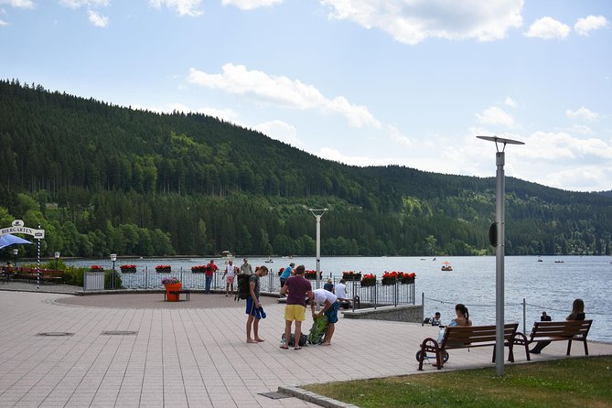 Trip from Zurich to Germany's Black Forest & Swiss Rhine Falls - Starting Point: Convenient Hotel Pickup in Zurich