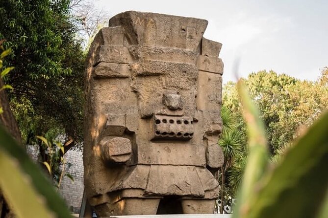 Trip in the Anthropology Museum Mexico City - Mexico City’s Anthropology Museum: A Must for Culture Enthusiasts