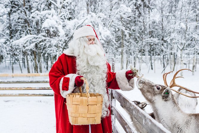Trip to Arctic Circle, Santa Claus Village and Santas Reindeer - Key Points