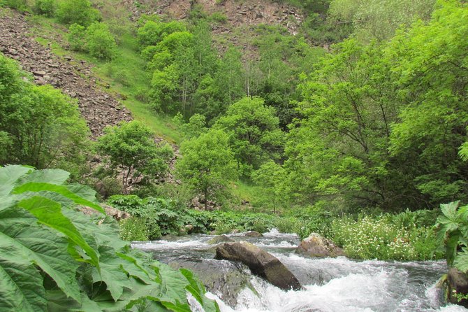 Trip to The Diamond Bridge and Dashbashi Canyon - Walking Through Mtatsminda Park and Its Vistas