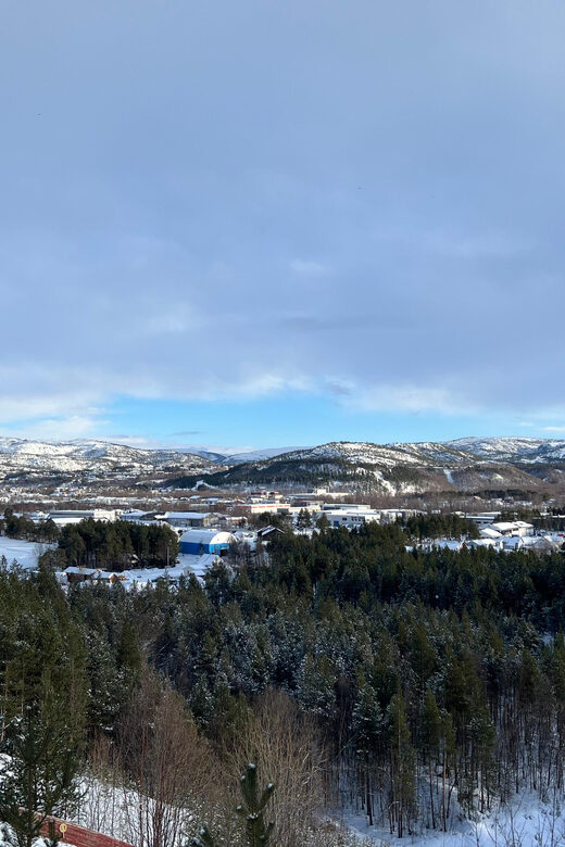 Trip to view Alta City from Altabakken. - Practical Details: Meeting Points and Stops