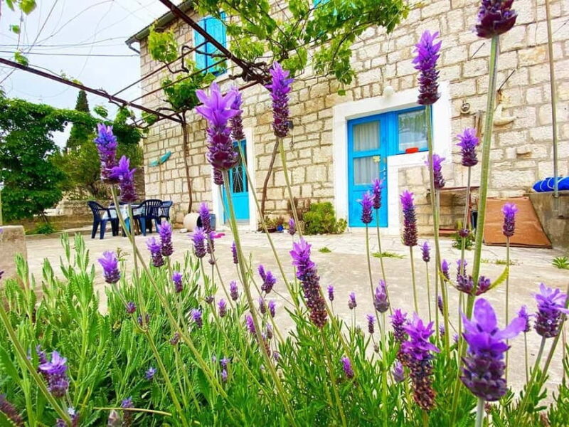 Trogir: Blue Lagoon, Maslinica, and Solinska Bay Boat Tour - Flexibility and Booking Options