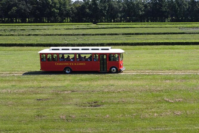 Trolley Tour in Wadmalaw Island of South Carolina - Logistics and Practical Details