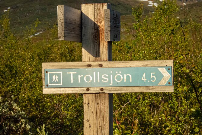Trollsjön Guided Day Tour - Pricing and Value for Money