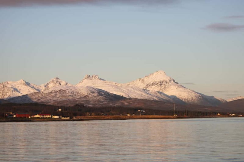 Tromsø: 2-Hour Island Tour Cruise with Snacks and Drinks - Key Points