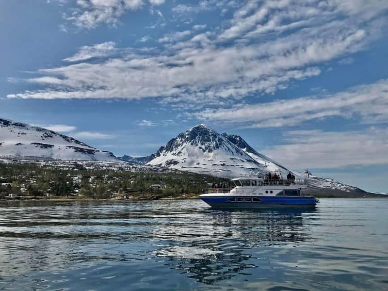 Tromsø: 2-Hour Island Tour Cruise with Snacks and Drinks - The Comfort and Style of the Boat