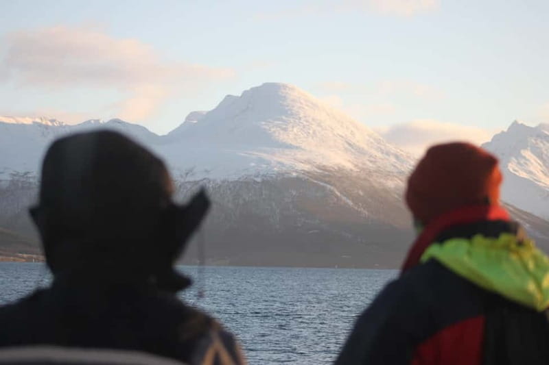 Tromsø: 2-Hour Island Tour Cruise with Snacks and Drinks - Scenic Views and Photo Opportunities