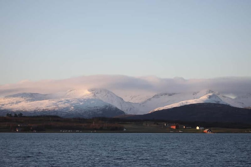 Tromsø: 2-Hour Island Tour Cruise with Snacks and Drinks - Who Will Enjoy This Tour?