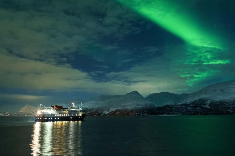 Tromsø: 24hr Northern Lights & Whale Watching Cruise - A 24-Hour Arctic Expedition Combining Whale Watching and Northern Lights