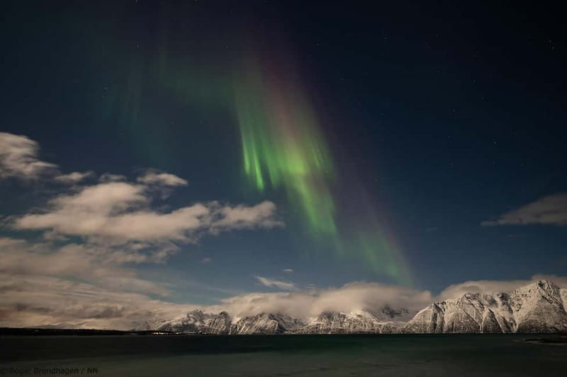 Tromsø: 24hr Northern Lights & Whale Watching Cruise - Key Points