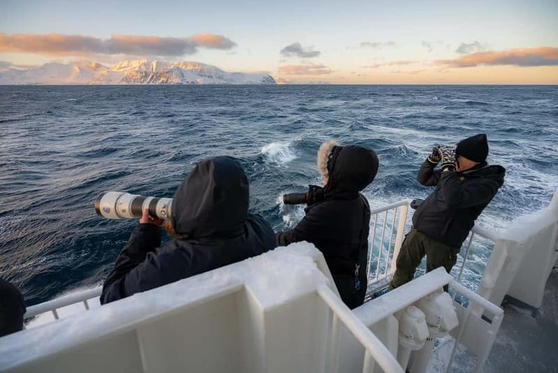 Tromsø: 24hr Northern Lights & Whale Watching Cruise - From Tromsø to Skjervøy: The Route and Scenic Stops