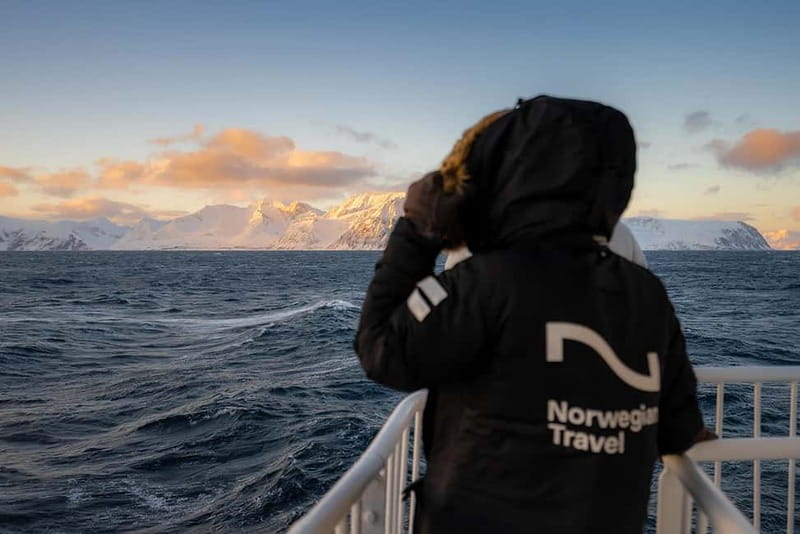 Tromsø: 24hr Northern Lights & Whale Watching Cruise - Learning About the Northern Lights and Marine Life