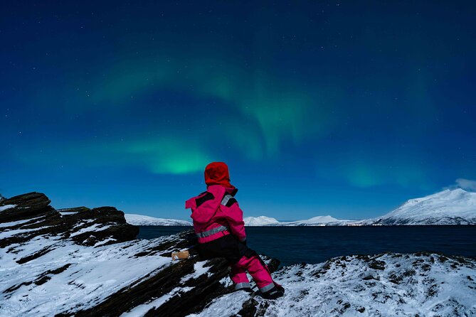 Tromsø- 3 days experience - Tromsø- 3 Days Experience: A Complete Arctic Adventure for Curious Travelers