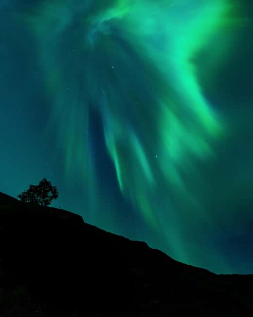 Tromsø: A Sámi Survival Story and Aurora Hunt - From Tromsø City to the Arctic Wilderness