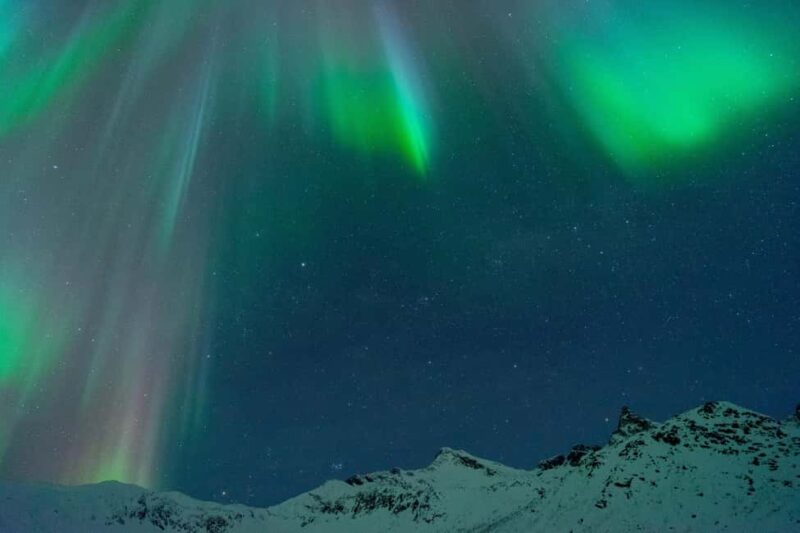 Tromsø: A Sámi Survival Story and Aurora Hunt - Who Will Love This Sámi and Aurora Experience