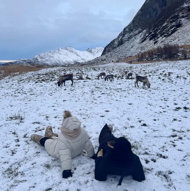 Tromsø: A Sámi Survival Story and Fjords Tour - Tromsø’s Fjords and Sámi Culture: A Unique Perspective