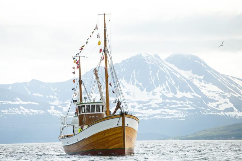 Tromsø: A Taste of Coastal Traditions - The Onboard Bar and Refreshments
