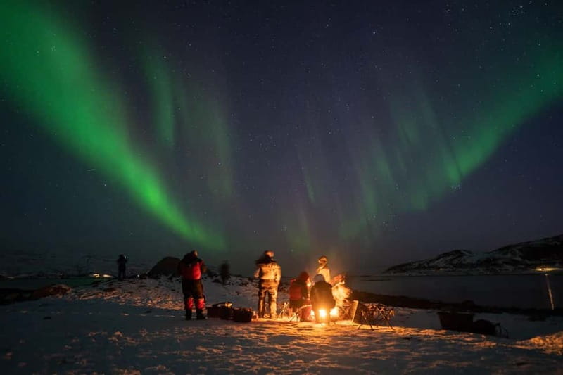 Tromsø: Adult Only Aurora hunt with Citizen Science - Key Points