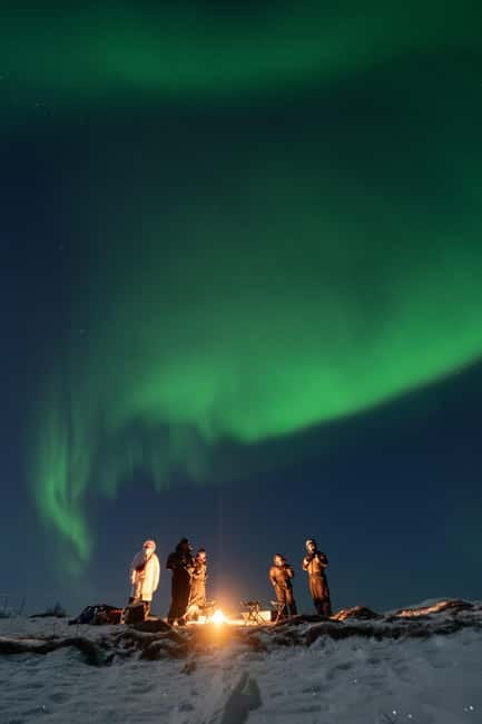 Tromsø: Adult Only Aurora hunt with Citizen Science - Participating in Citizen Science and Environmental Conservation